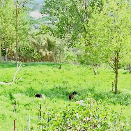 Peaceful Village Retreat - Near Saranda